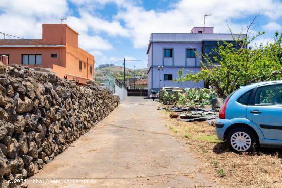 Se Vende Terreno 16000 metros en Tacoronte - SANTA CRUZ DE TENERIFE