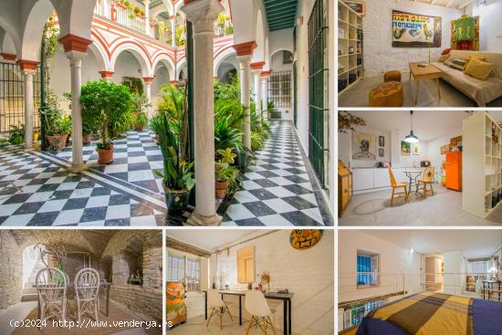 APARTAMENTO JUNTO CALLE FRANCOS CON LICENCIA TURISTICA - SEVILLA