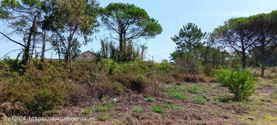 TERRENO NO EDIFICABLE CERCA DE LA PLAYA - PONTEVEDRA