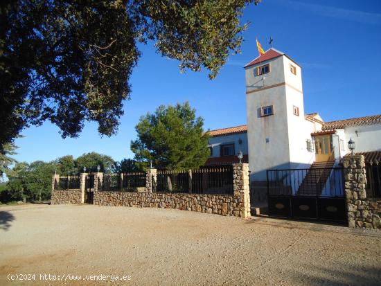 FINCA EN OSSA DE MONTIEL, ALBACETE - 500 Has - ALBACETE