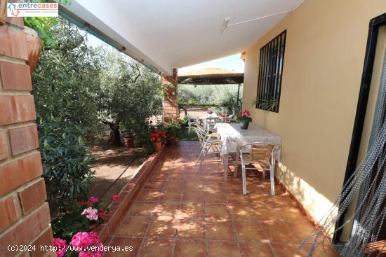 CASA CON TERRENO EN ALGIMIA DE ALFARA - VALENCIA