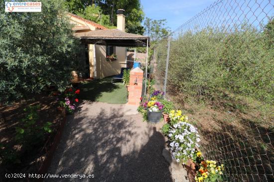 CASA CON TERRENO EN ALGIMIA DE ALFARA - VALENCIA