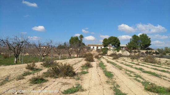 Casa de campo con 4.070m2 de terreno y 88 m2 de vivienda - MURCIA