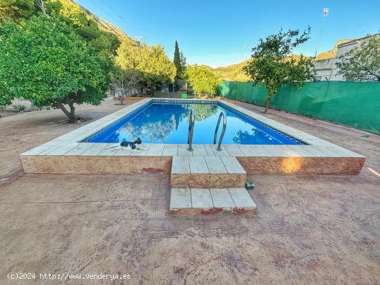 CHALET CON PISCINA Y BARBACOA EN PETRER - ALICANTE