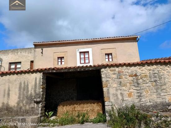 FINCA RÚSTICA EN AJO. - CANTABRIA