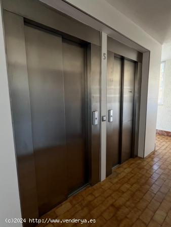 APARTAMENTO EN ALQUILER LARGA TEMPORADA - MALAGA