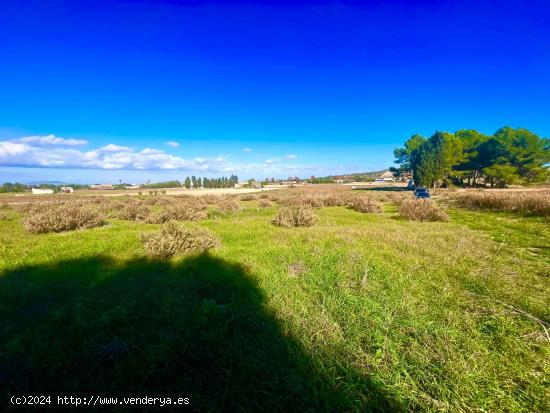  Se vende terreno rústico en Felanitx con almacen agrícola de 80 metros - BALEARES 