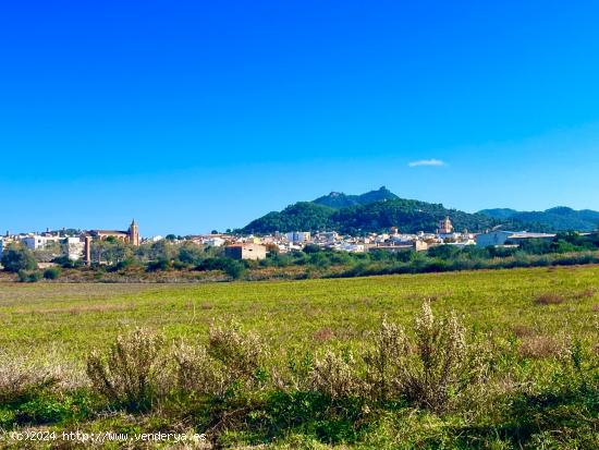 Se vende terreno rústico en Felanitx con almacen agrícola de 80 metros - BALEARES