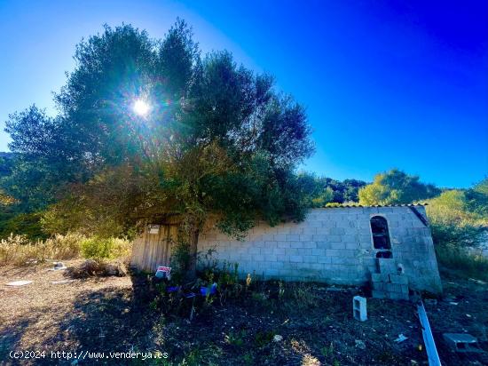 Se vende terreno rústico en Felanitx con almacen agrícola de 80 metros - BALEARES