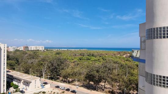 Precioso ático en Guardamar de Segura con vistas al mar ! - ALICANTE