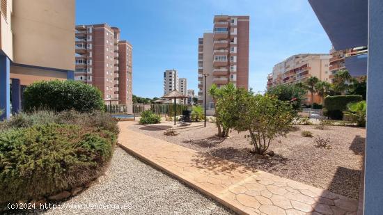 Precioso ático en Guardamar de Segura con vistas al mar ! - ALICANTE