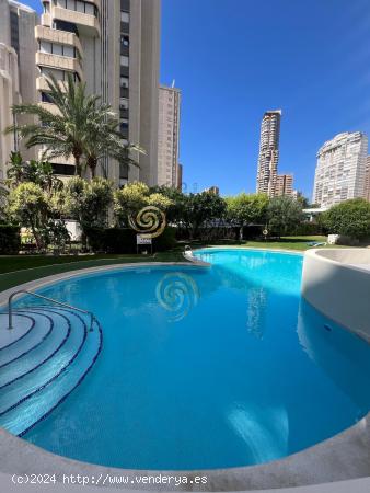 Vendemos este gran piso en el Residencial Parque Europa en Benidorm - ALICANTE