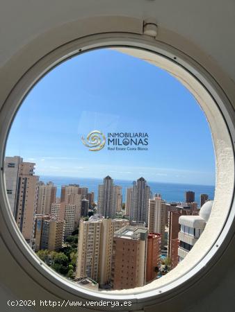 Vendemos este gran piso en el Residencial Parque Europa en Benidorm - ALICANTE