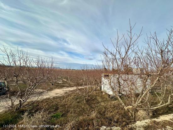 FINCA RUSTICA EN EL GINETE - MURCIA