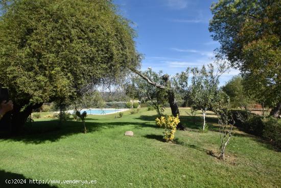 FINCA RÚSTICA CON MUCHAS POSIBILIDADES POR SUS CARACTERISTICAS Y TERRENO. - TOLEDO