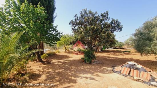  SE VENDE FINCA RÚSTICA EN EL LLANO DE LA CRUZ - MALAGA 