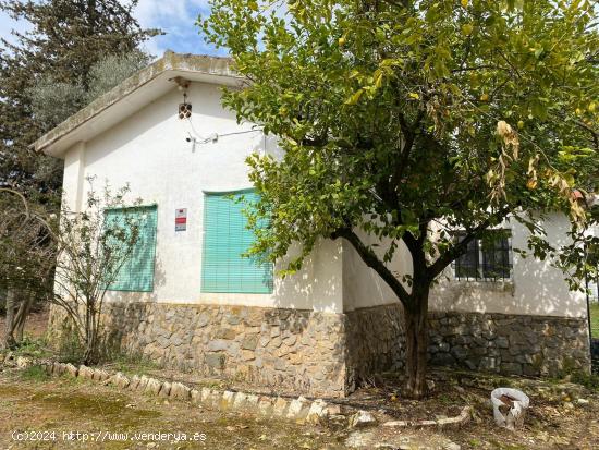 Maravillosa parcela rústica - CORDOBA