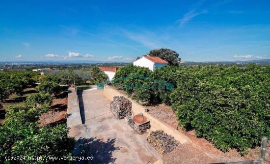 FINCA DE NARANJOS Y OLIVOS CON CASA EN NÁQUERA - VALENCIA