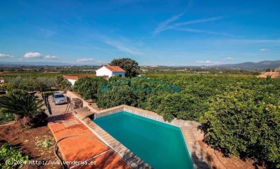 FINCA DE NARANJOS Y OLIVOS CON CASA EN NÁQUERA - VALENCIA