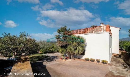 FINCA DE NARANJOS Y OLIVOS CON CASA EN NÁQUERA - VALENCIA