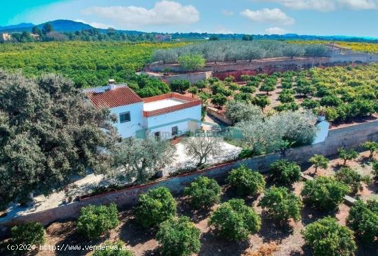 FINCA DE NARANJOS Y OLIVOS CON CASA EN NÁQUERA - VALENCIA