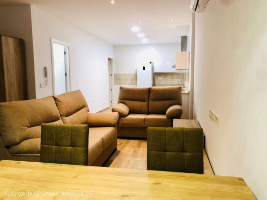 LOFT PLANTA BAJA  EN ALQUILER EN FILET DE FORA - ALICANTE