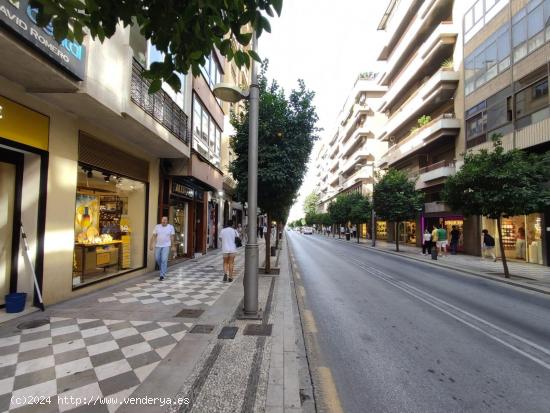 Se Alquila en Granada - GRANADA