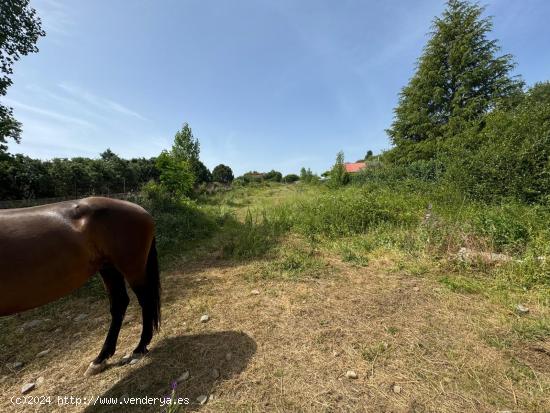 SE VENDE FINCA CERRADA RUSTICA EN SAN ANDRES DE MONTEJOS - LEON