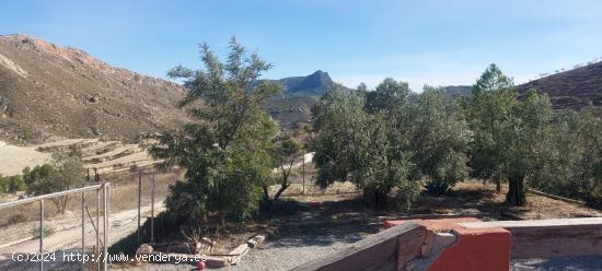 Casa de Campo con Piscina en la zona del Consejero - MURCIA