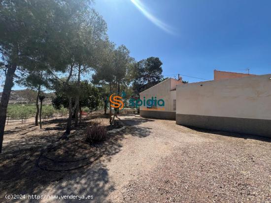 Dos casas de campo adosadas con casi 7.000m2 de terreno a solo 5km de la playa de S. Juan Terreros -