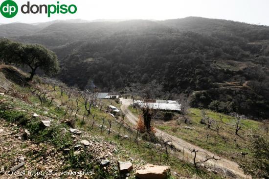 ESPECTACULAR TERRENO EN PARAJE DE LAS MAJADILLAS - GRANADA