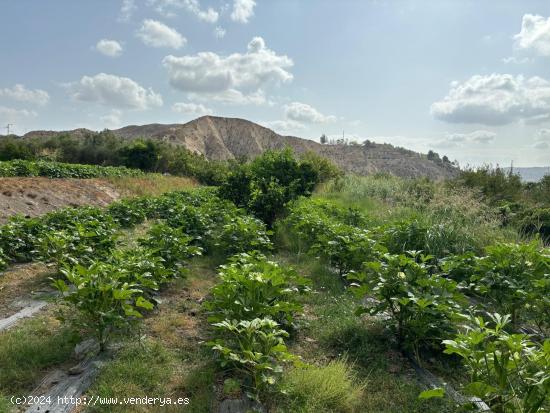  Terreno de cultivo en Terque - ALMERIA 