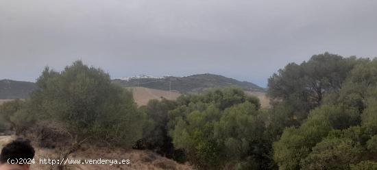  TERRENO EN VEJER VALDECABRAS - CADIZ 