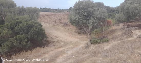 TERRENO EN VEJER VALDECABRAS - CADIZ