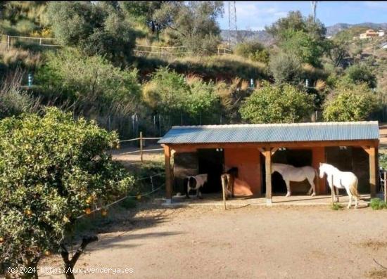 Equestrian Property with separate apartment - MALAGA