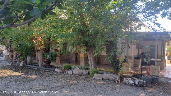 Finca rústica de 8 dormitorios en venta en La Albatalia - MURCIA