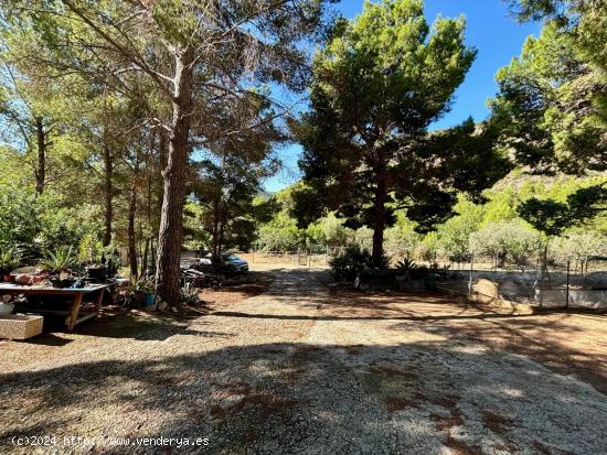 Finca Rústica en Venta cerca de Sant Elm - BALEARES