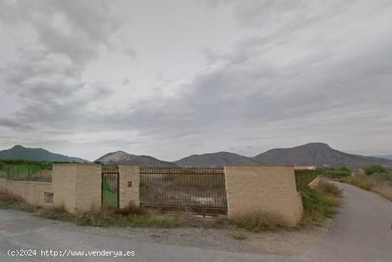 TERRENO EN VENTA EN ASPE - ALICANTE