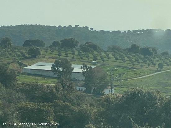 CASABANCO   VENDE FINCA EN ALCARACEJOS - CORDOBA