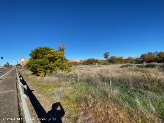 TERRENO RUSTICO EN BADAJOZ. - BADAJOZ