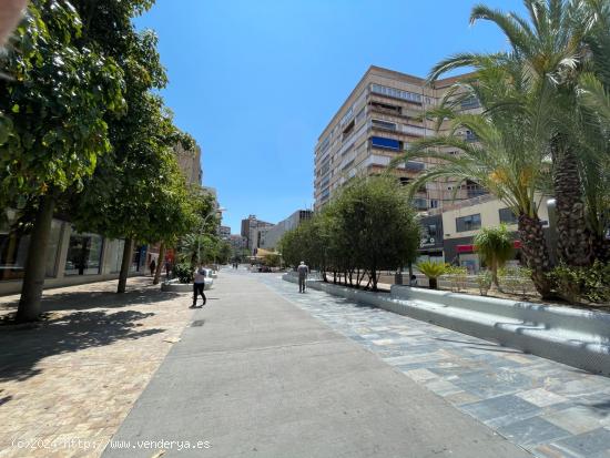  ¡MARAVILLOSO PISO! en el centro de Murcia. En Avenida Primo de Rivera. - MURCIA 