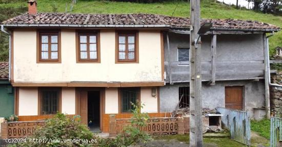 CASA DE 90 m2 CON FINCAS DE 2.969m2, CUADRA, PAJAR Y GALLINERO -  EN LANGREO, ASTURIAS. - ASTURIAS