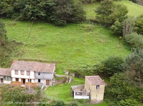 CASA DE 90 m2 CON FINCAS DE 2.969m2, CUADRA, PAJAR Y GALLINERO -  EN LANGREO, ASTURIAS. - ASTURIAS