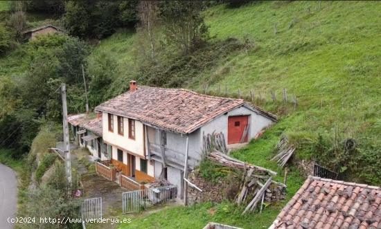 CASA DE 90 m2 CON FINCAS DE 2.969m2, CUADRA, PAJAR Y GALLINERO -  EN LANGREO, ASTURIAS. - ASTURIAS