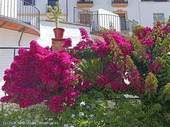 Se Vende en Ronda - MALAGA