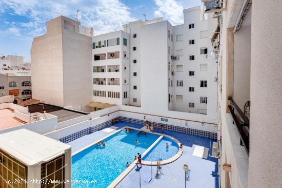 ESTUDIO EN TORREVIEJA ( ALICANTE) CON PISCINA COMUNITARIA - ALICANTE