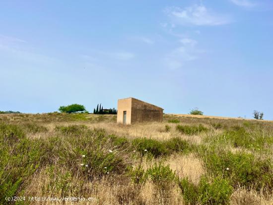 Terreno para edificar  con plano basico - Vilafranca de Bonany - BALEARES