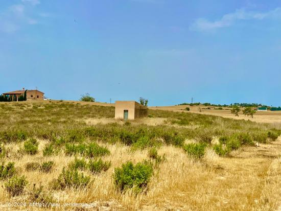 Terreno para edificar  con plano basico - Vilafranca de Bonany - BALEARES