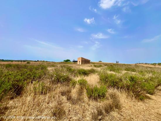 Terreno para edificar  con plano basico - Vilafranca de Bonany - BALEARES