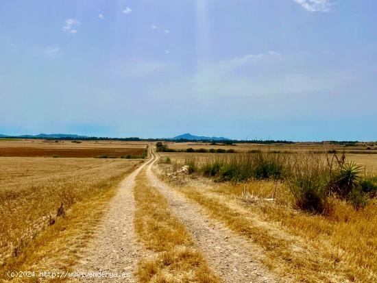 Terreno para edificar  con plano basico - Vilafranca de Bonany - BALEARES